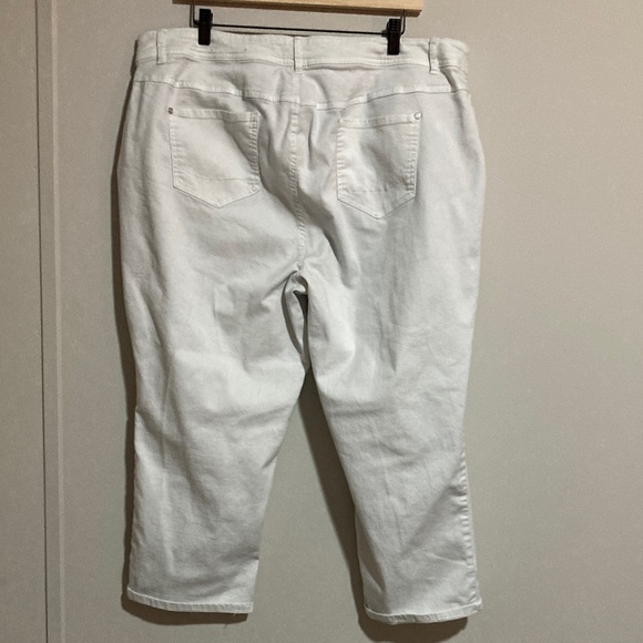 Elegant Women's Light Gray Capris - Picture 4 of 4